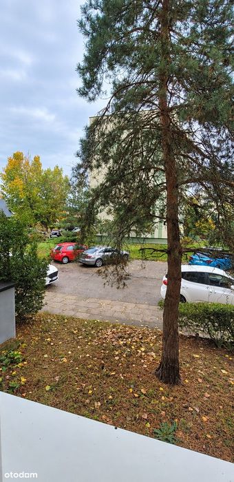 3 Pokoje | Balkon | Zieleń | Cisza | Wysoki Parter