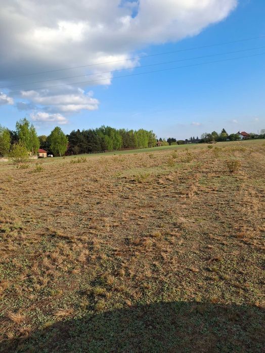 Sprzedam działki Kazimierzów blisko Jezioro Lucieńskie i Białe 3 km - Widok 5