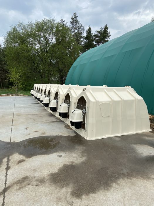 Budki Iglo dla cieląt