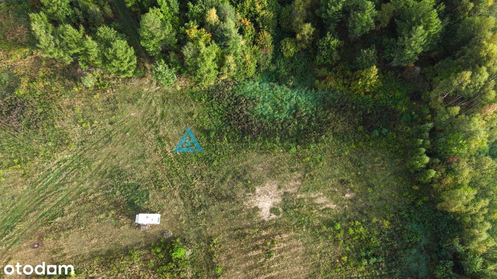Działka budowlana przy lesie w Połęczynie. - Widok 4