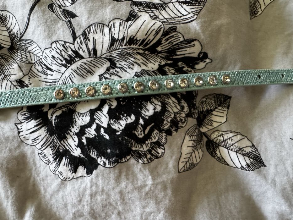 Поводок и ошейник