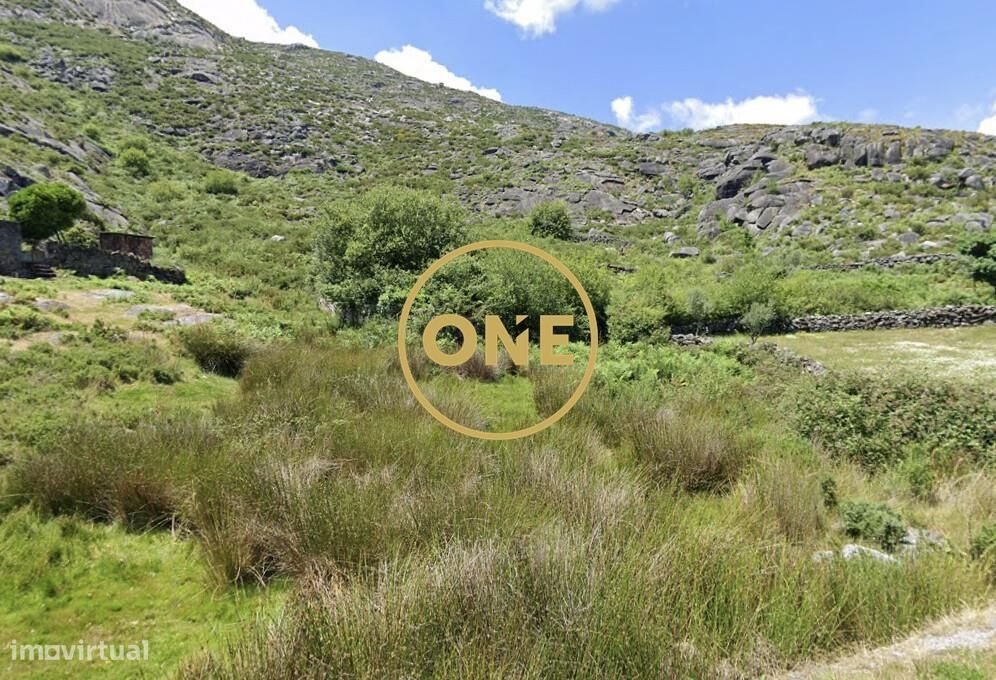 A Natureza no seu resplendor Cerquido – Estorãos