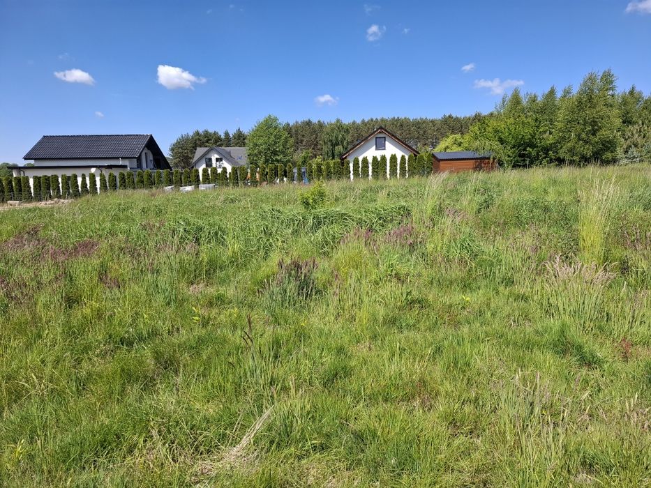 Działka budowlana Syców Słupia Perzów 10 ar Wrocław 35min - Widok 5