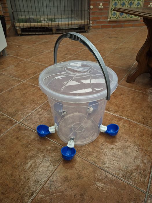 Bebedouro para galinhas