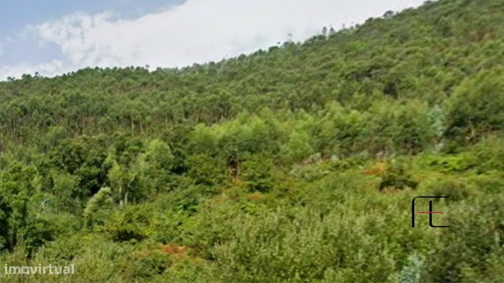 Terreno  Venda em Vila Chã, Codal e Vila Cova de Perrinho,Vale de Camb