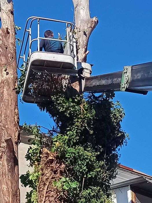 ВЫВОЗ МУСОРА, Заказ контейнера Уборка территории, Спил, Покос ...