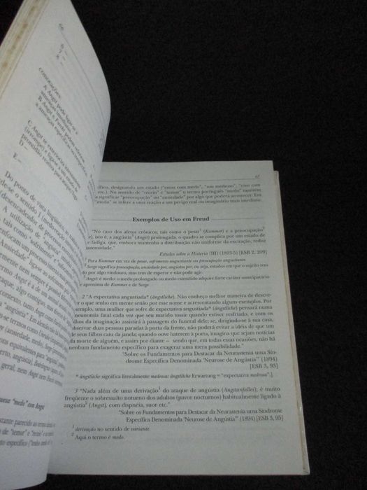Livro Dicionário Comentado do Alemão de Freud Luiz Hanns