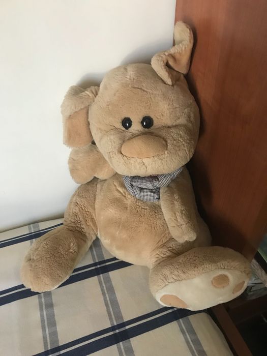 Plush Dog