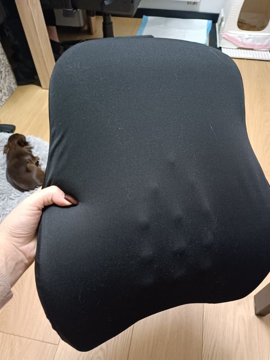 Poduszka pod plecy / kręgosłup