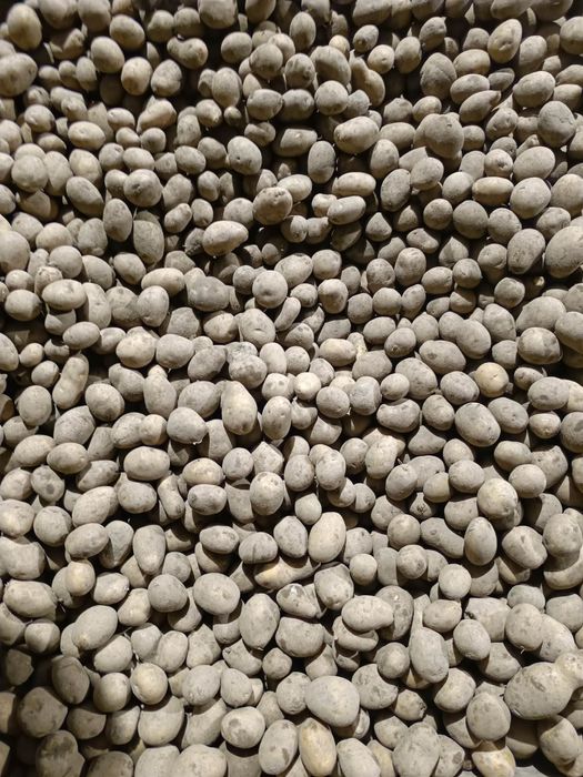 Sprzedam ziemniaki 35-55