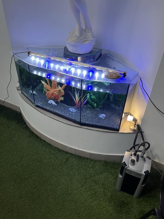 Великий акваріум на 345 л