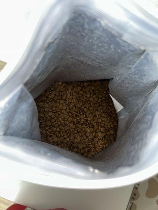 Carnilove karma dla kotów