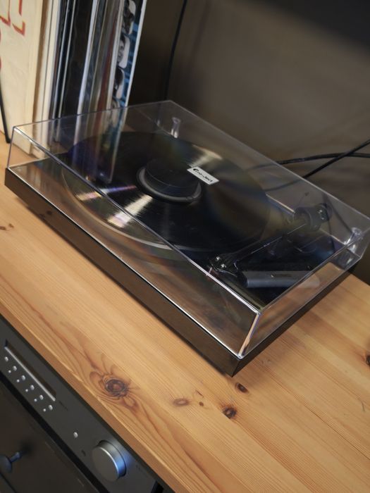 Gramofon Project wkładka Ortofon RED.