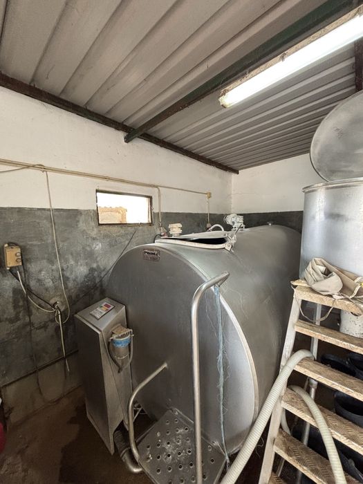 Vendo tanque e estojo de ordenho