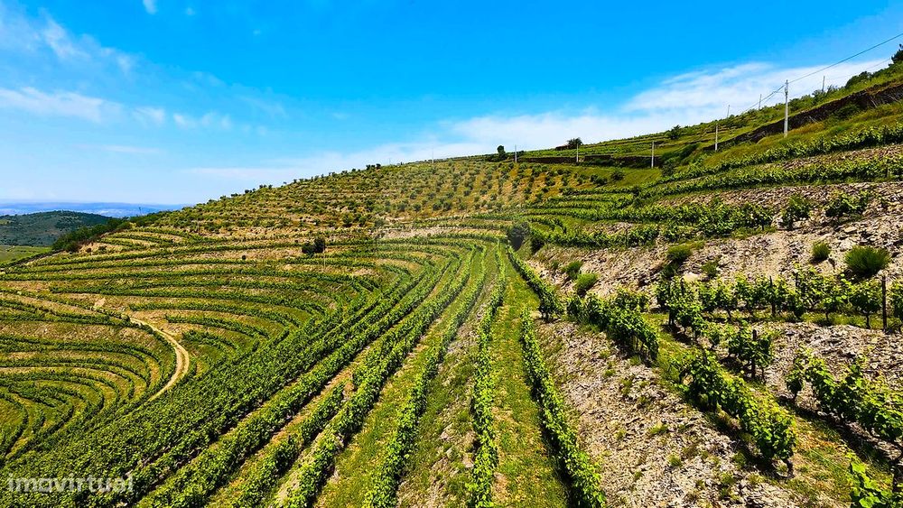 Terreno  para venda