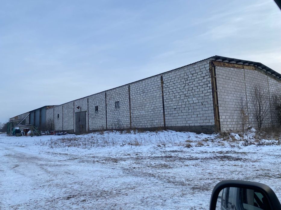 Wynajmę magazyn, plac, S19,węzeł Borki