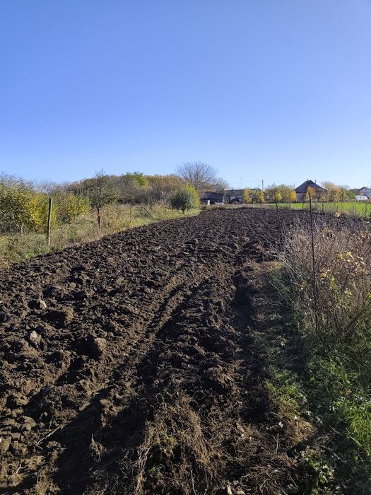 Терміновий продаж будинку біля лісу