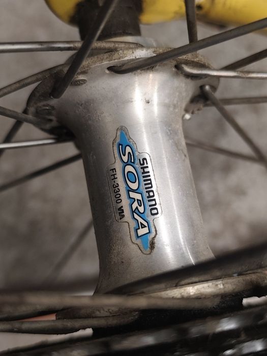 Focus rower szosowy sprzedam lub zamienię.