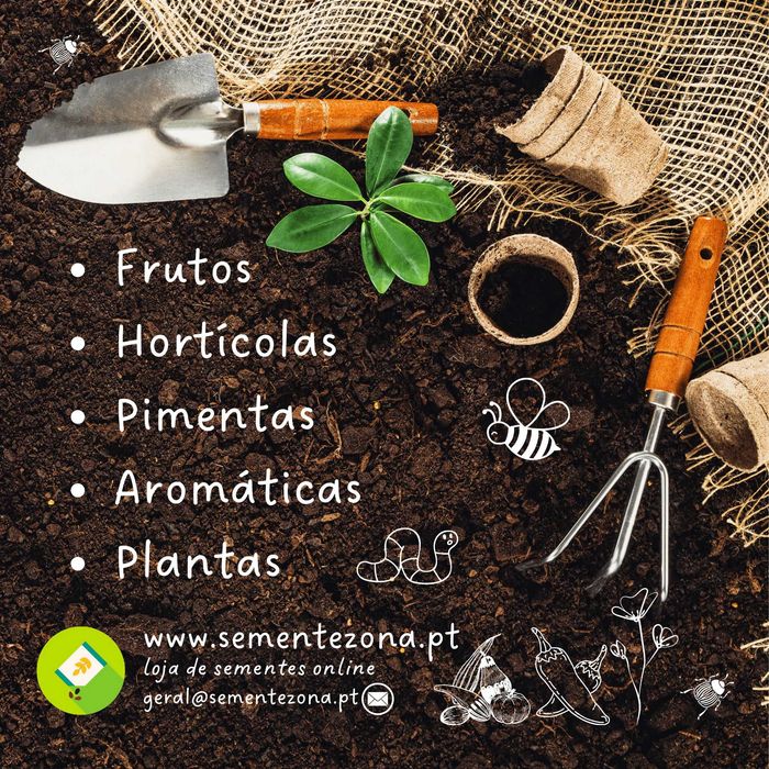 Kit (Sementes) 12 Variedades de Pimentas Picantes
