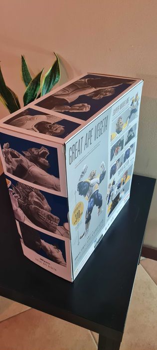 |VENDA RÁPIDA| Great ape Vegeta Dragon Ball Z SH Figuarts