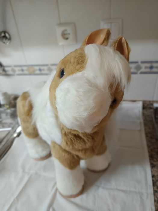 New Dolls at Various Prices64752055068802122