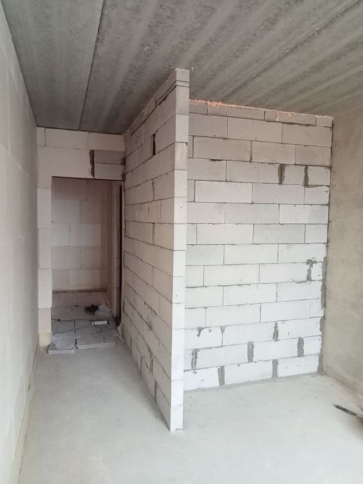 Мурування стін,  штукатурка.