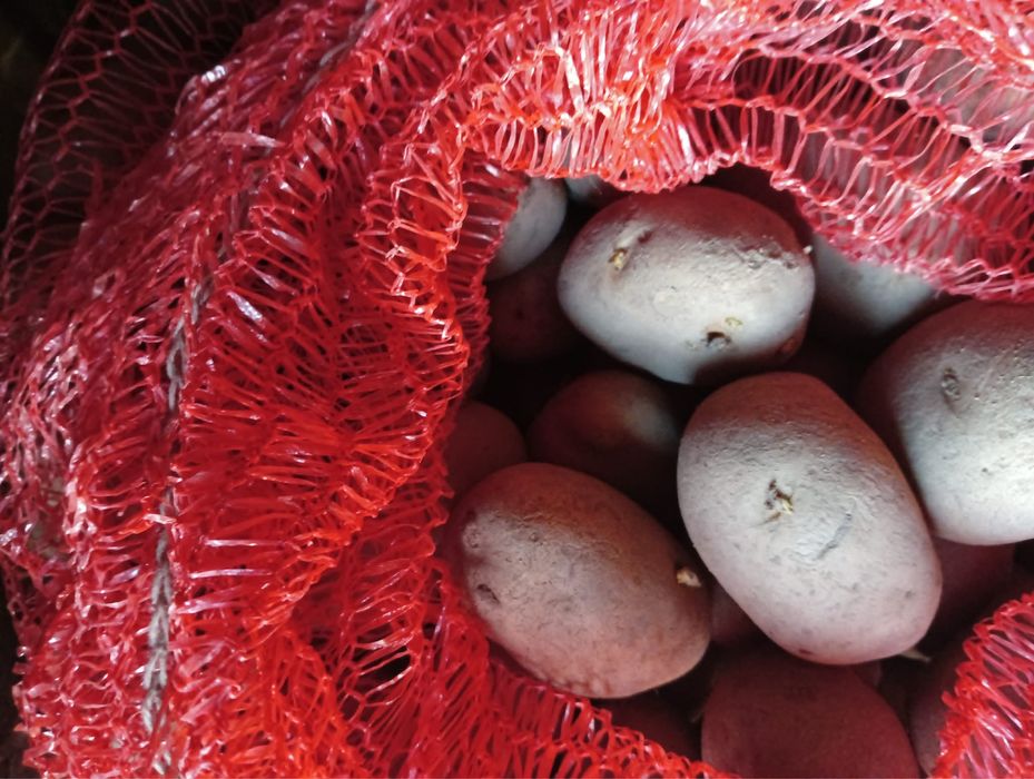 Ziemniaki Lord z centali