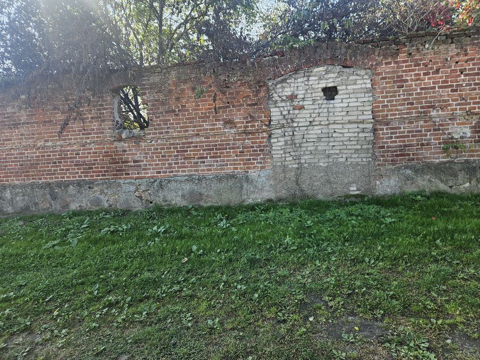 Oddam za darmo cegłę