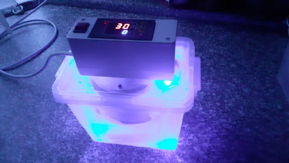 Живая мертвая вода Активатор водород