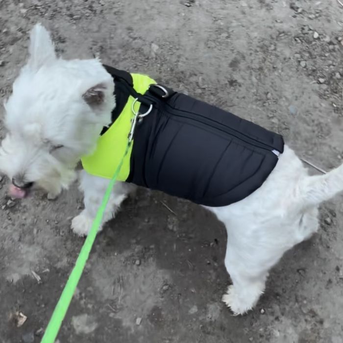 Курточка для собаки