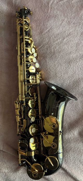 Saxofone Alto Roy Benson AS202K Preto