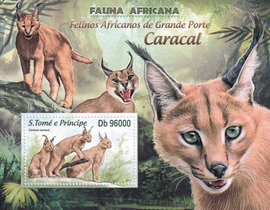 WŚTiK 2013 cena 5,90 zł kat.7€ - karakal