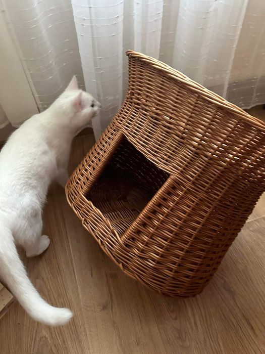Wiklinowy domek dla kota budka z wikliny legowisko