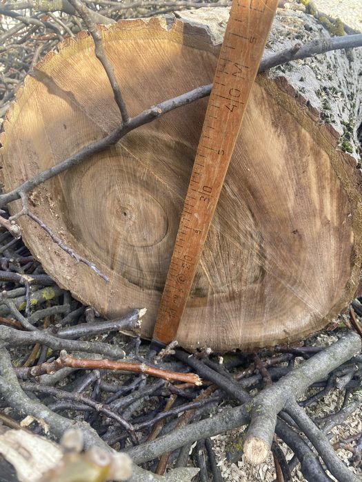 Продам стовбур горіха