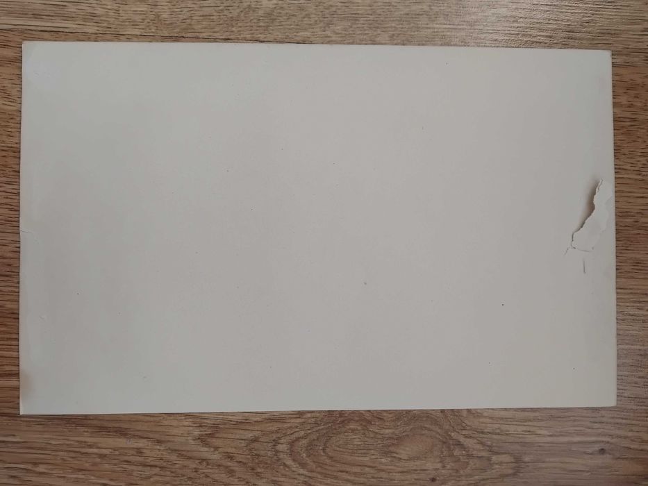 stara rycina ornitologiczna Taf. XXXI (ptaki nr 140-144)