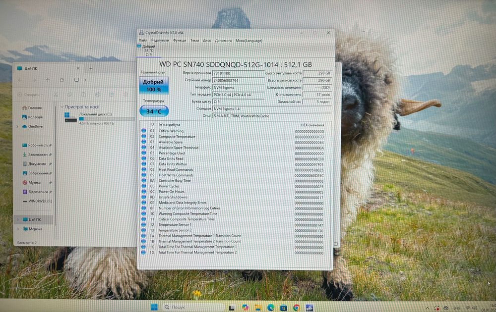 SSD накопичувач WD PC SN740 NVMe M.2 Gen4x4 на 512Gb швидкий в роботі