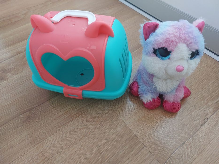 Miauczący kotek z transporterem