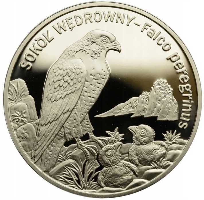 Moneta 20 zł - Sokół wędrowny - 2008 rok Ag925 menniczy L