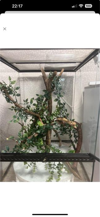 Террариум  в отличном состоянии