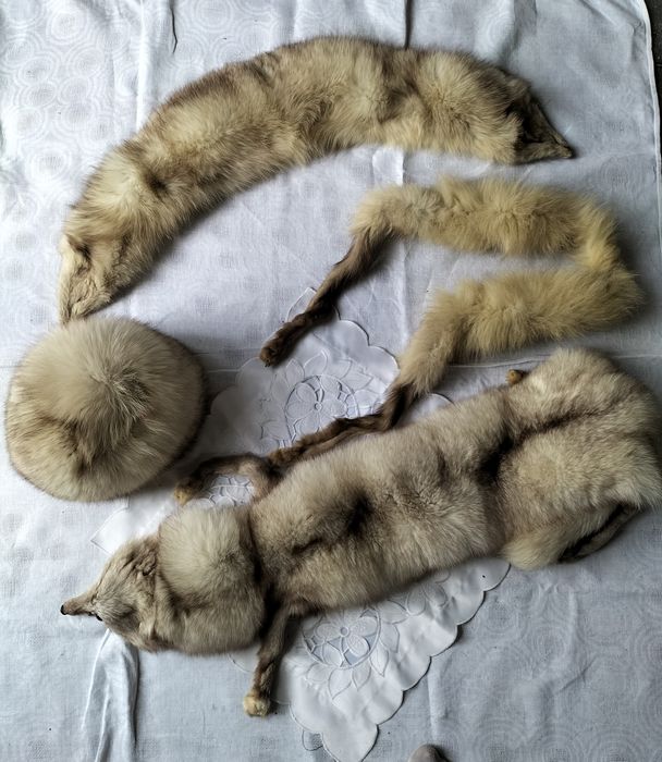 Zestaw - lis biały naturalny