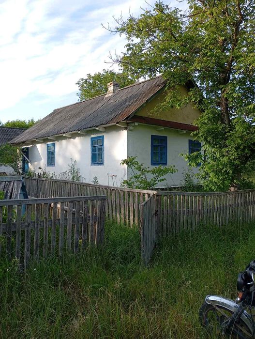 Будинок садиба біля лісу