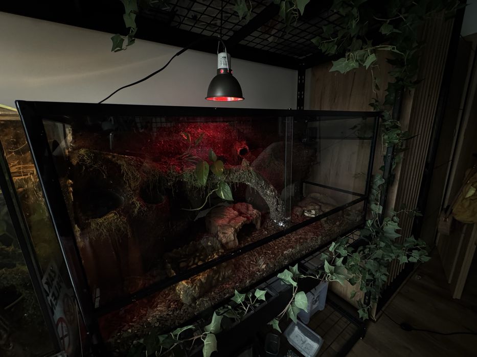 Terrarium 120x65x45