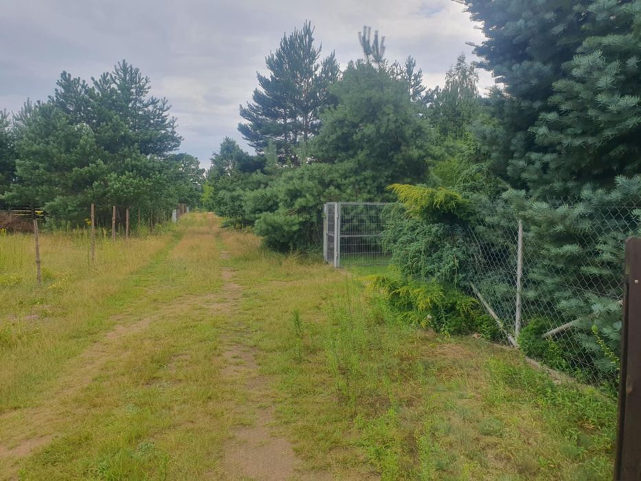 Letniskowy Dom z bali nad rzeką Narew