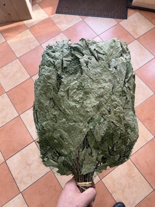 Продам Великі Віники для Бані/Сауни із канадського дуба