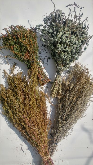 Банні віники. Канадський дуб, береза, вишня баня Банные веники