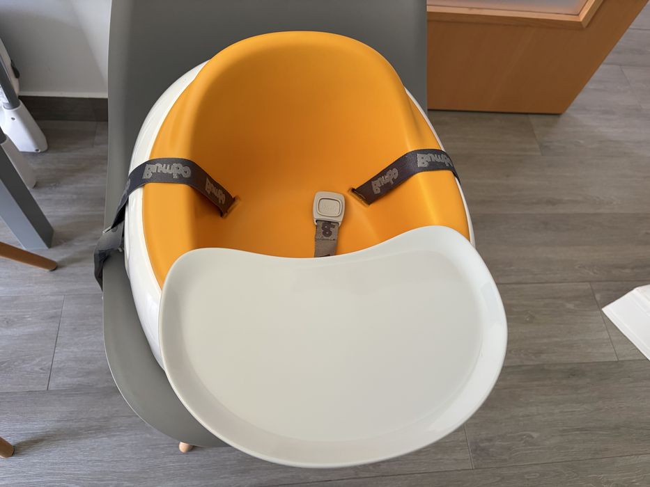 Bumbo assento evolutivo