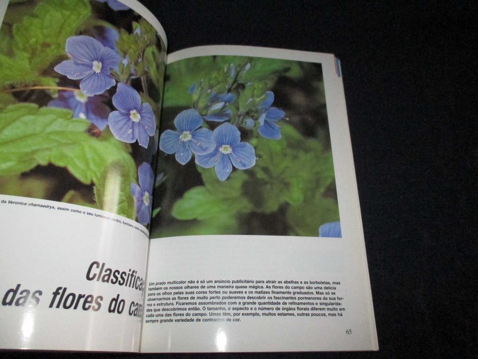 Livro Flores do Campo Bruno P. Kremer