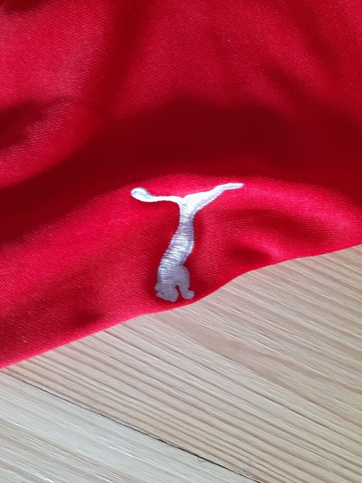 Кофта пума оригінальна