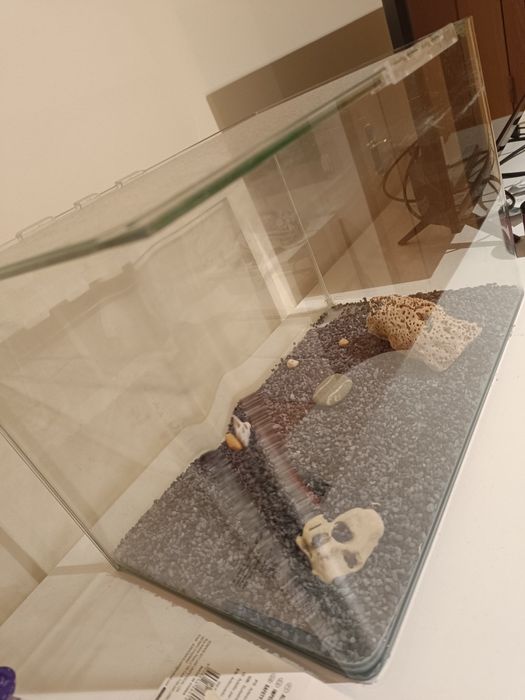 Aquário com capacidade para 20L