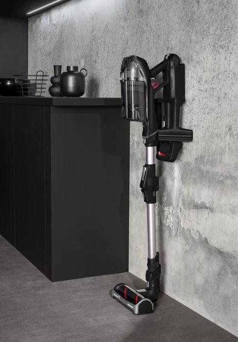 Aspirador Rowenta XForce Flex 15.60 Animal Care **novo**